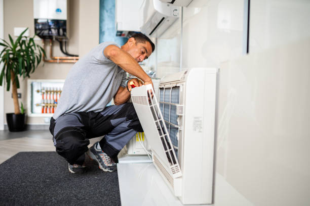 Best Local Air Duct Cleaning Services  in Perry, MI