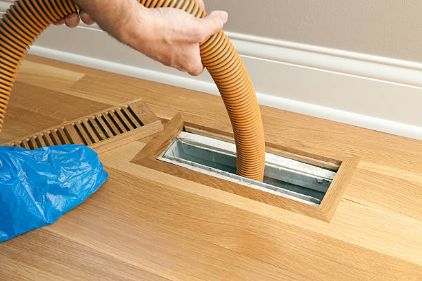 Best Local Air Duct Cleaning Services  in Perry, MI