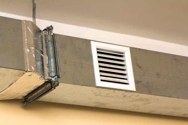 Best Professional Duct Cleaning Services  in Perry, MI